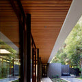 Dark Cherry PVC Ceiling
